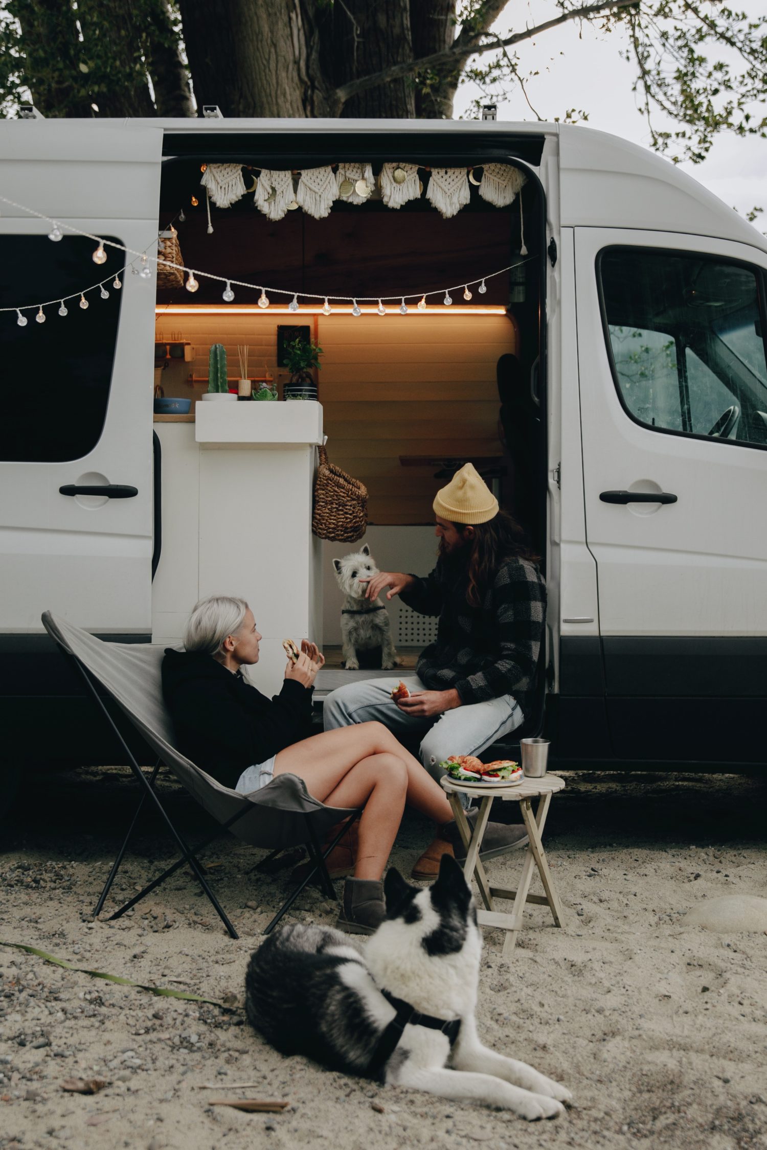 Haustier-Mitnahme in Wohnmobil und Camper Van